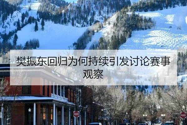 樊振东回归为何持续引发讨论赛事观察