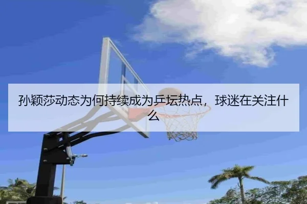 孙颖莎动态为何持续成为乒坛热点，球迷在关注什么
